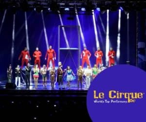 Le Cirque alis a Napoli 